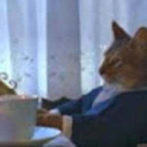 Meet your Posher, Joseph